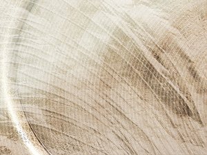 竞价实例全流程拆解：每一步都讲清楚